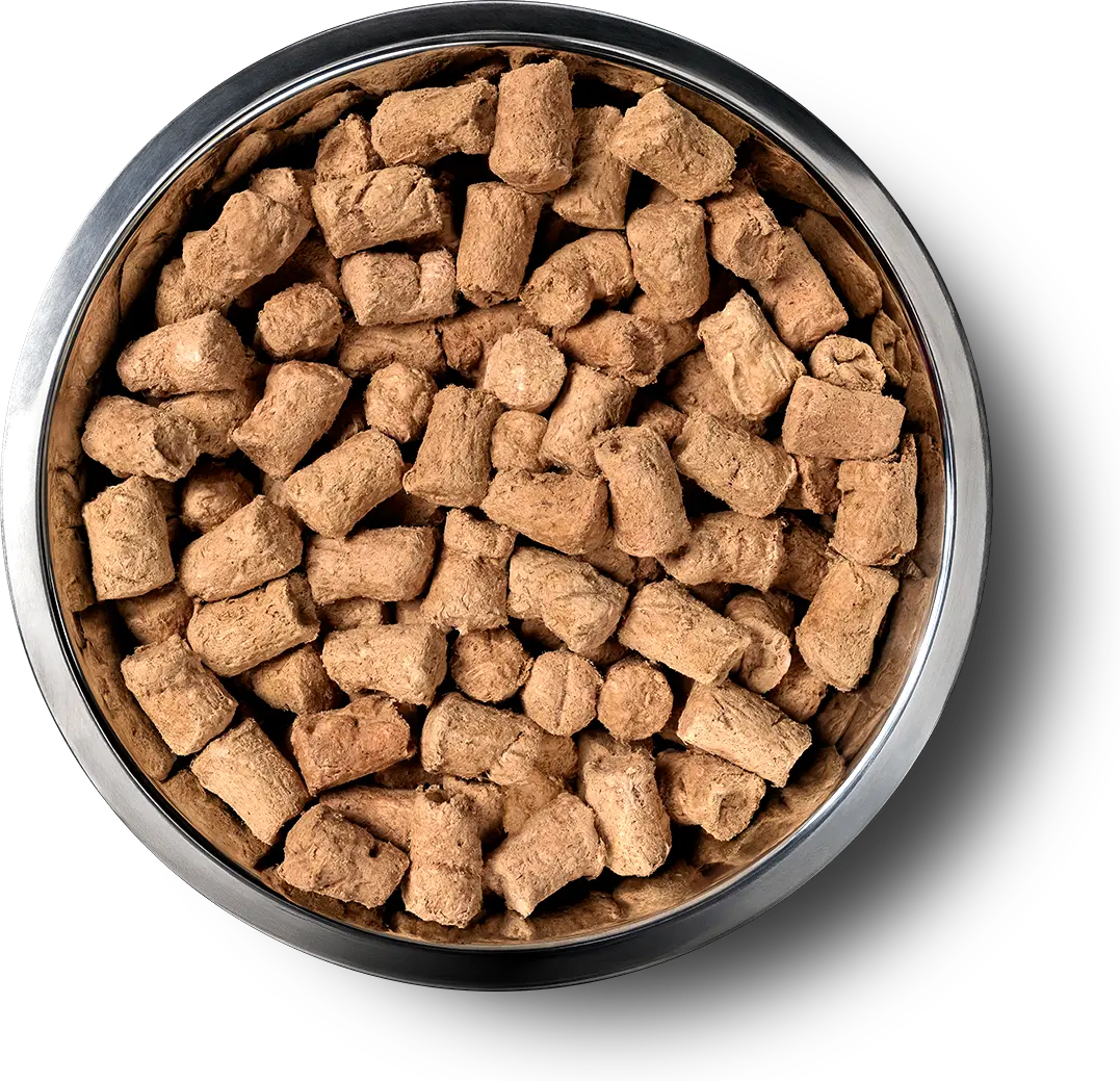 Freeze-Dried Single Ingredient Raw Beef Liver Dog Treats