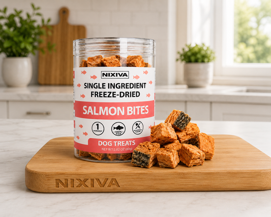 Freeze-Dried Single Ingredient Raw Salmon Bites Dog Treats