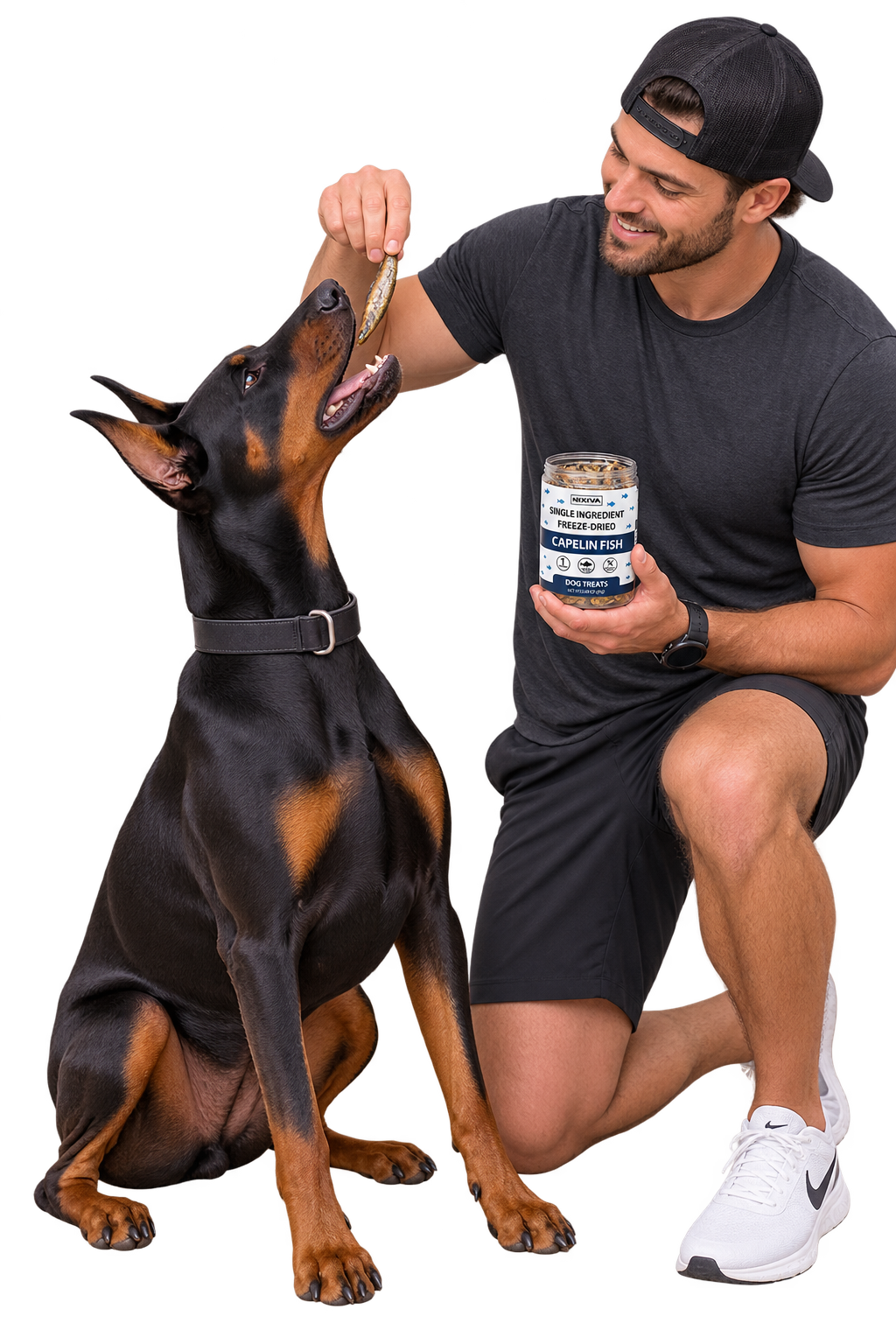 Freeze-Dried Raw Capelin Fish