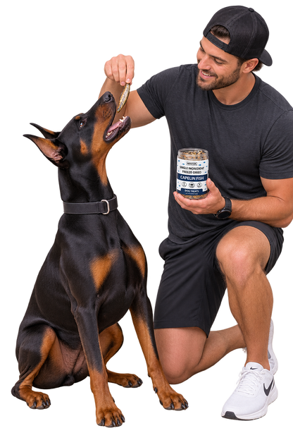 Freeze-Dried Raw Capelin Fish