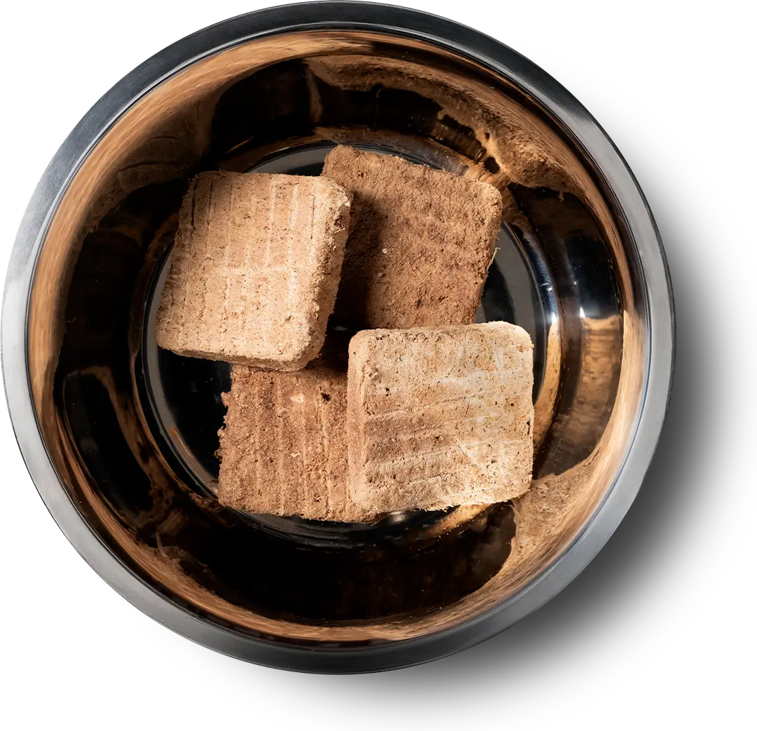 Freeze-Dried Single Ingredient Raw Beef Liver Dog Treats