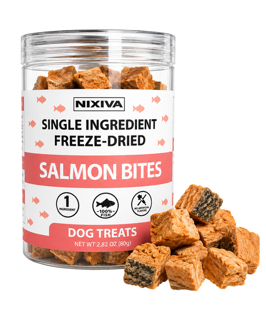 Freeze-Dried Single Ingredient Raw Salmon Bites Dog Treats