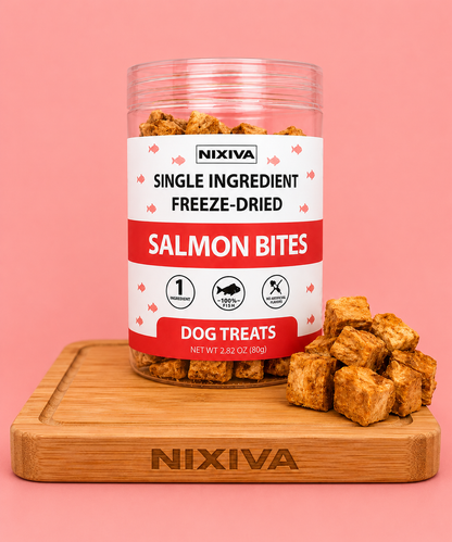 Freeze-Dried Single Ingredient Raw Salmon Bites Dog Treats