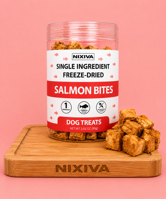 Freeze-Dried Single Ingredient Raw Salmon Bites Dog Treats