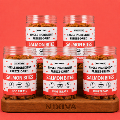 Freeze-Dried Raw Salmon Bites