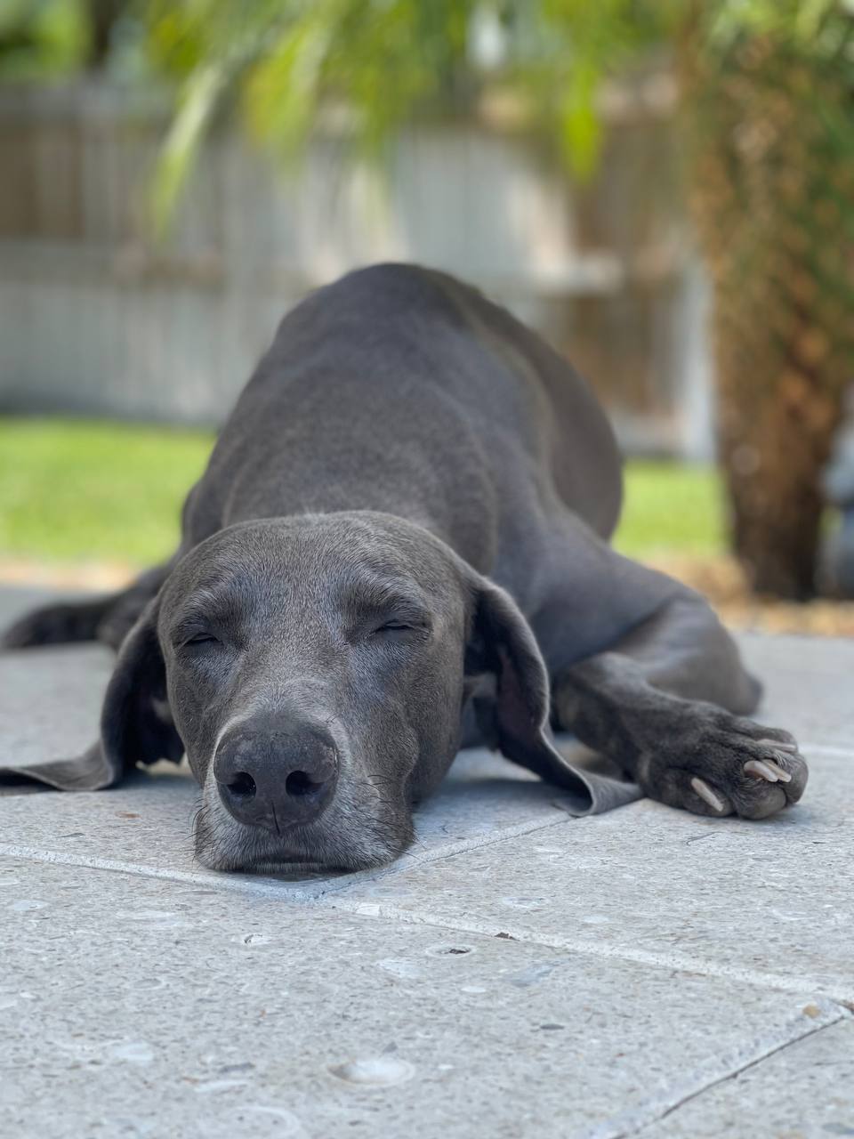 Max